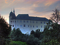 Hrub&yacute; Rohozec