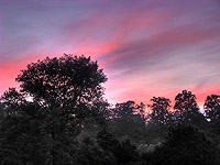 Hrub&yacute; Rohozec