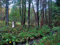 Nejji�n�j&scaron;&iacute; bod �R