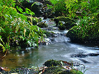 Nejji�n�j&scaron;&iacute; bod �R