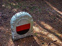 Nov&yacute; ��&aacute;r