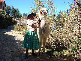 m&iacute;stn&iacute; d&iacute;vka s lamou