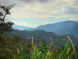 Severn&iacute; Yungas